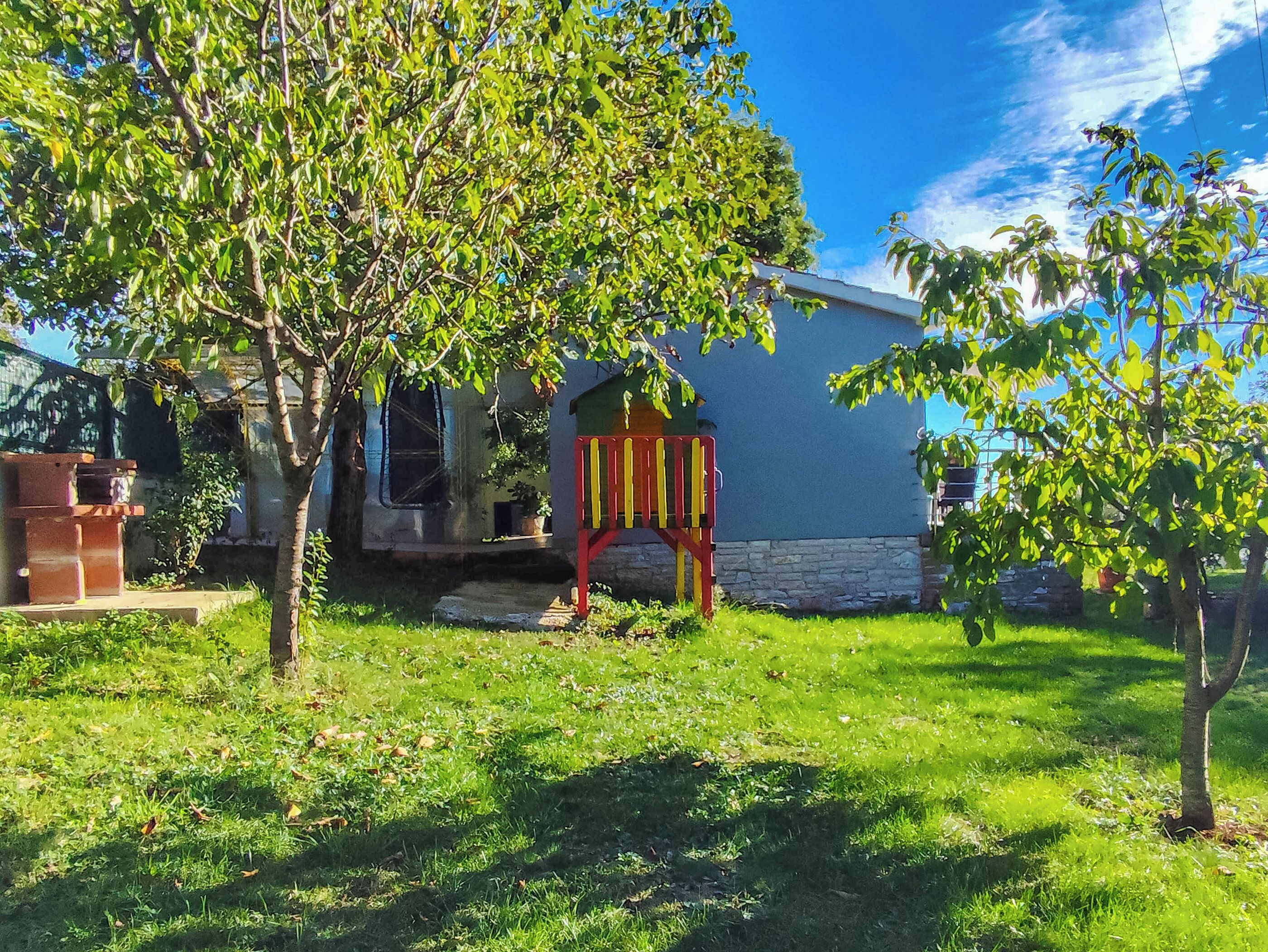 A residential property with a grassy yard, a tree, and a colorful play structure.