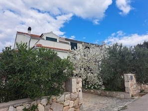 Building design - Apartment Julia (Tisno)