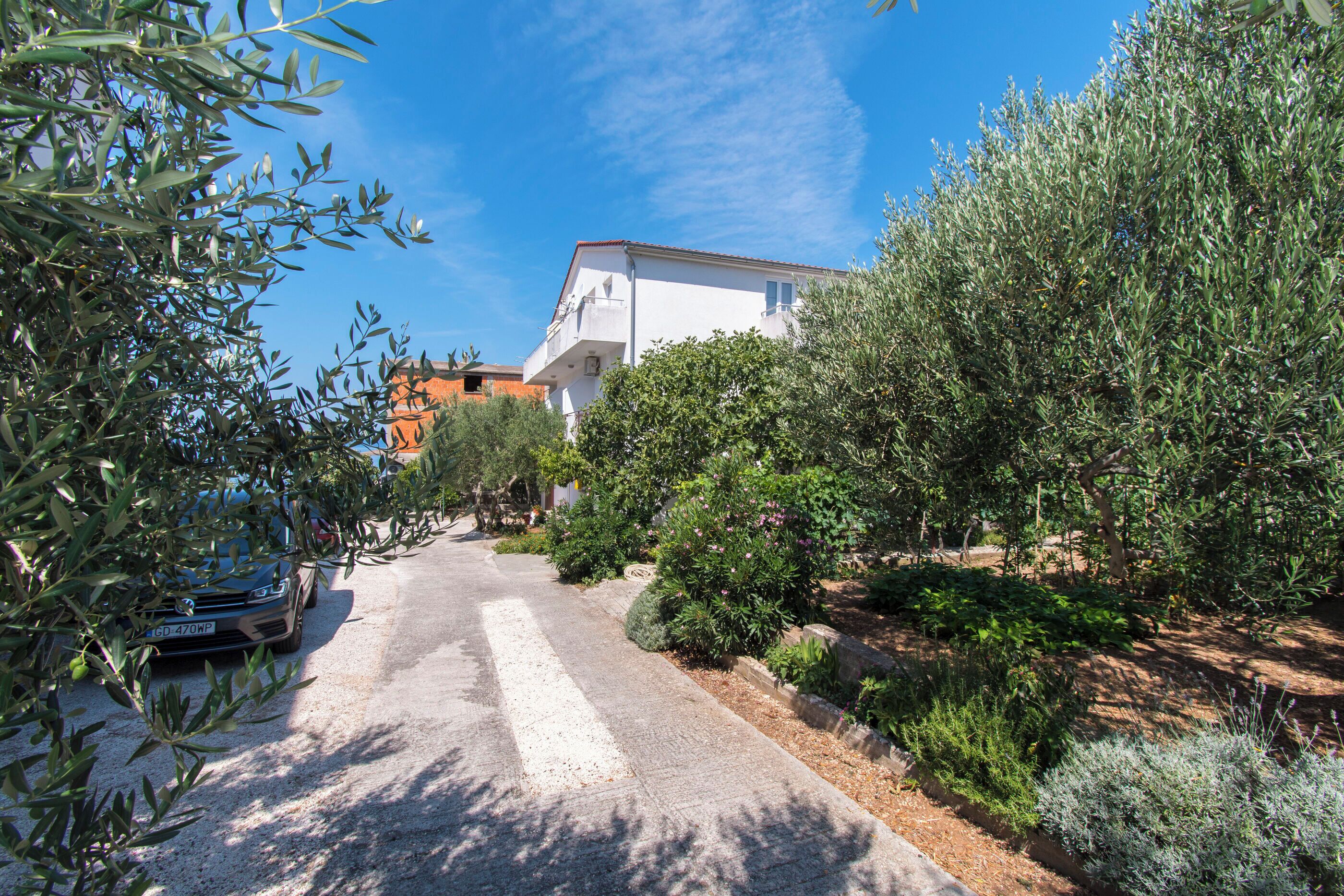 Une rue résidentielle avec une voiture garée, bordée d’oliviers et d’autres plantes vertes.