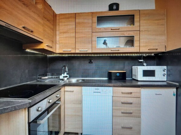 Apartment (A1) | Eigene Küche | Kühlschrank, Mikrowelle, Ofen, Herdplatte