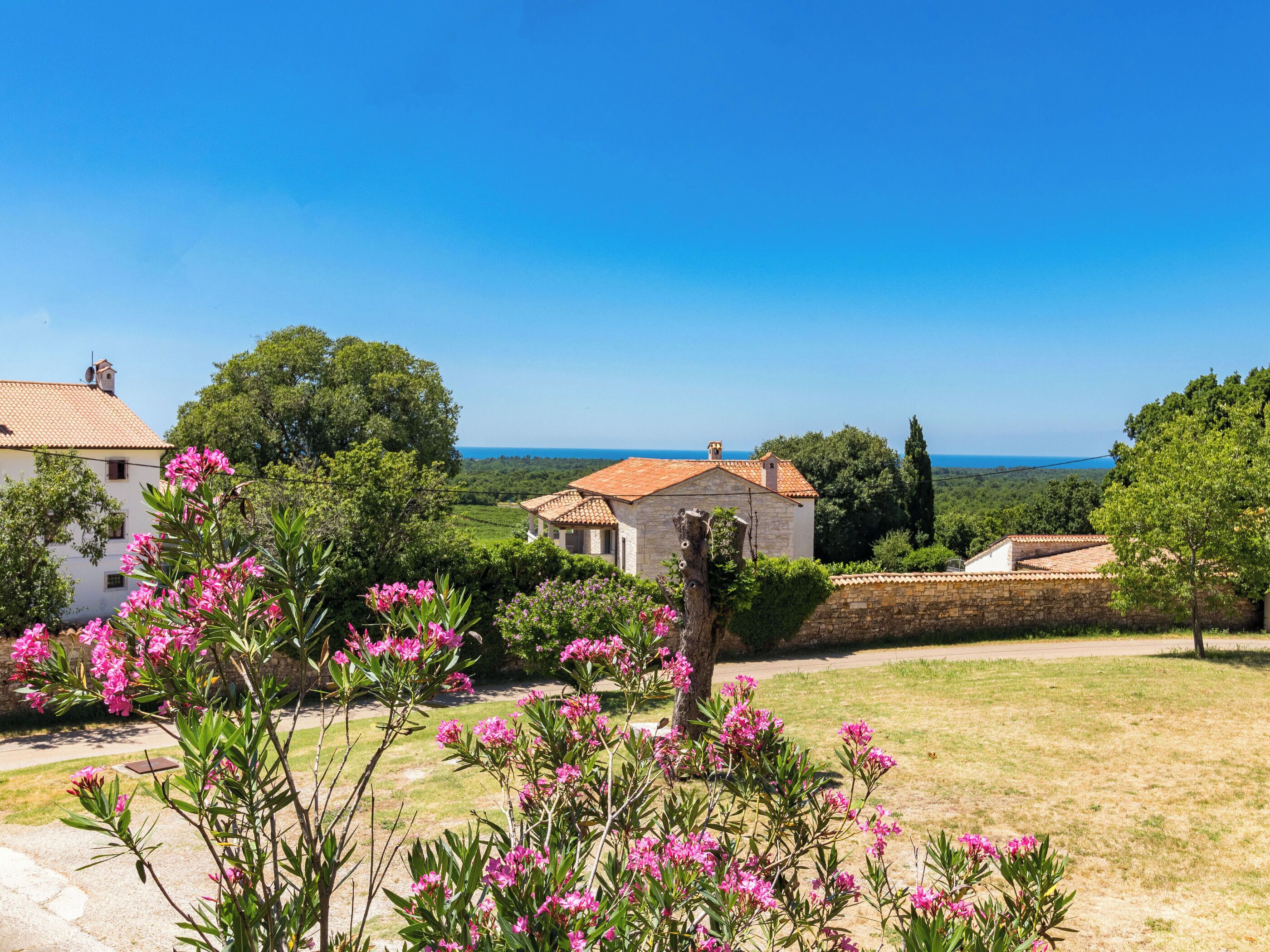 Uitzicht op het water