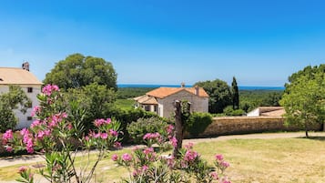 Uitzicht op het water