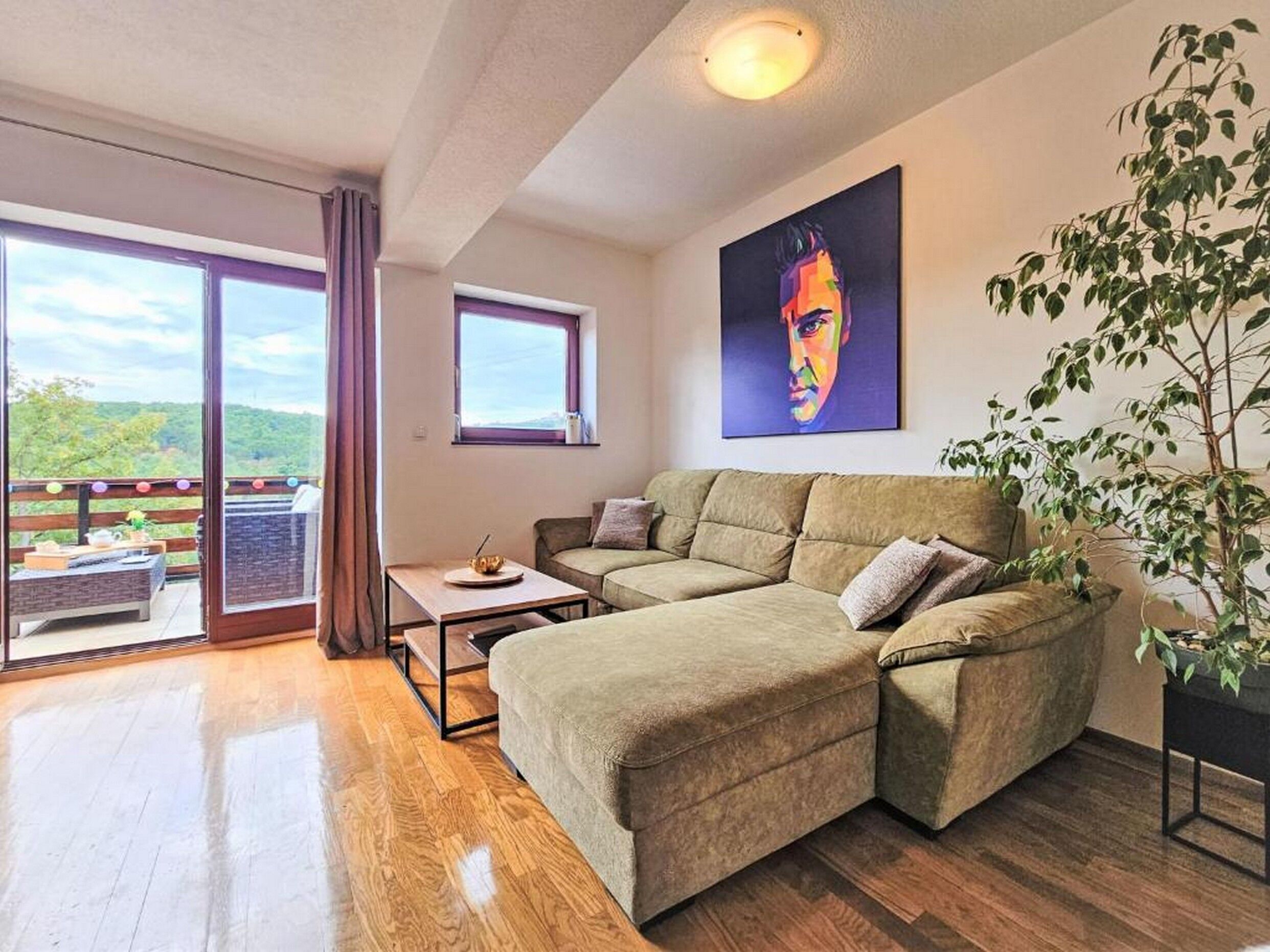 公寓 (A1) | 客厅 | 智能电视、Netflix