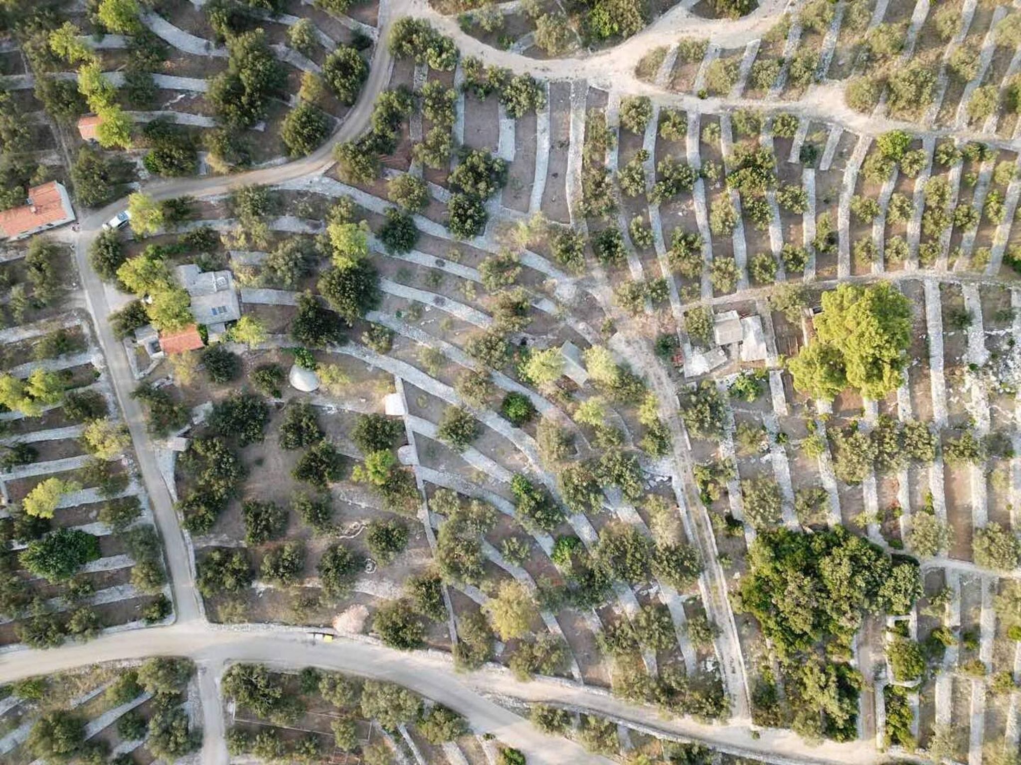 Vista aérea de una zona residencial con calles sinuosas y casas dispersas.