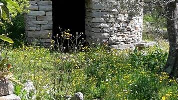 Cortile