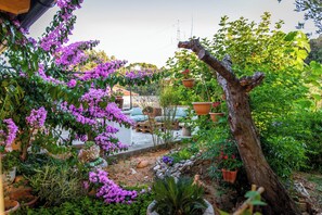 Garden - House Garden House (Rab)