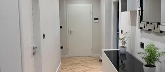 Apartment Palm Tree