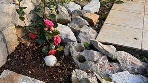 A garden bed with rocks and pink flowers. - Apartment Pogi Srima (Vodice)