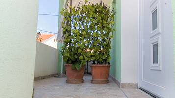 Diseño del edificio