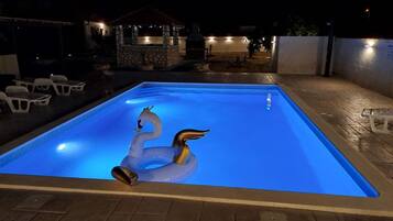 A swimming pool with two swan-shaped inflatable toys.