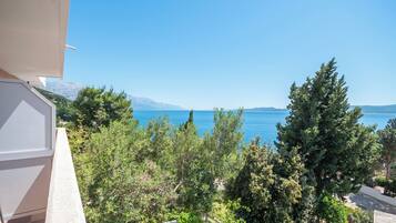 Studio (A3) | Aerial view