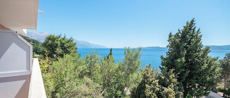 開放式客房 (A3) | 鳥瞰角度