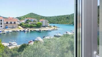Apartment (A2) | Aerial view