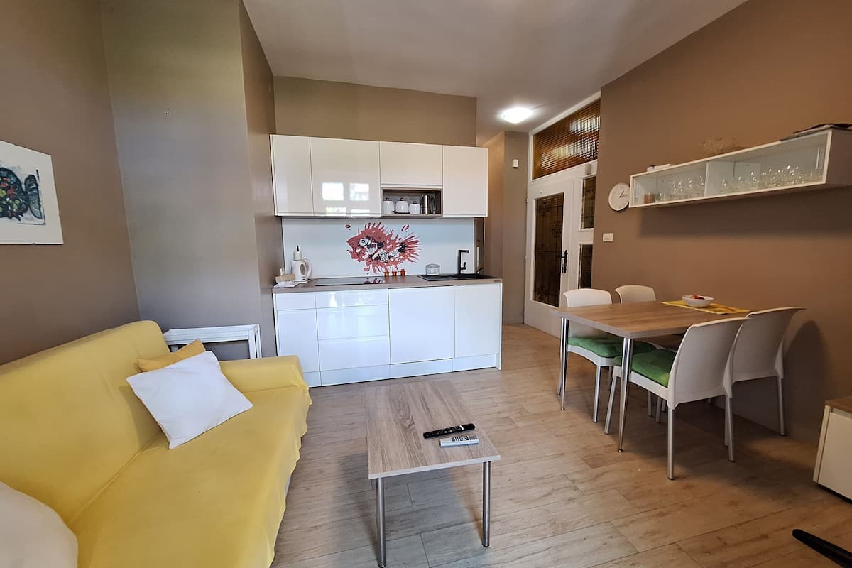 公寓 (A1) | 私人厨房 | 冰箱、微波炉、烤箱、炉灶