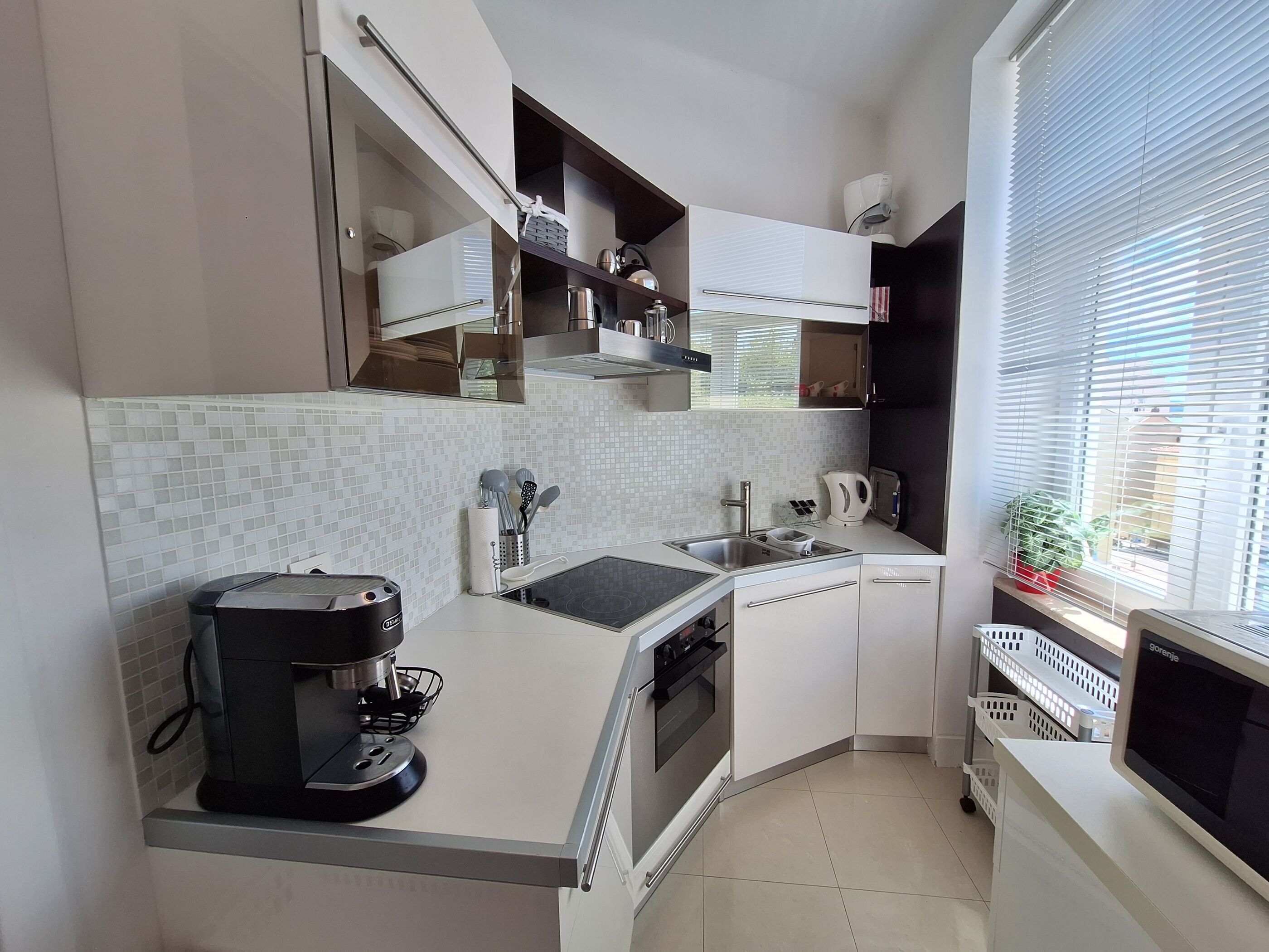 Apartment (A2) | Private kitchen | Fridge, microwave, stovetop, dishwasher