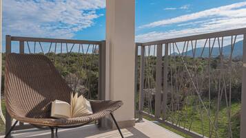 Apartment (A1) | Terrace/patio