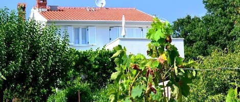 建物のデザイン