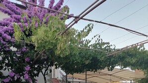 A covered outdoor area with a stone building, a staircase, and a pergola with purple flowers. - Apartments Poldan (Rab)