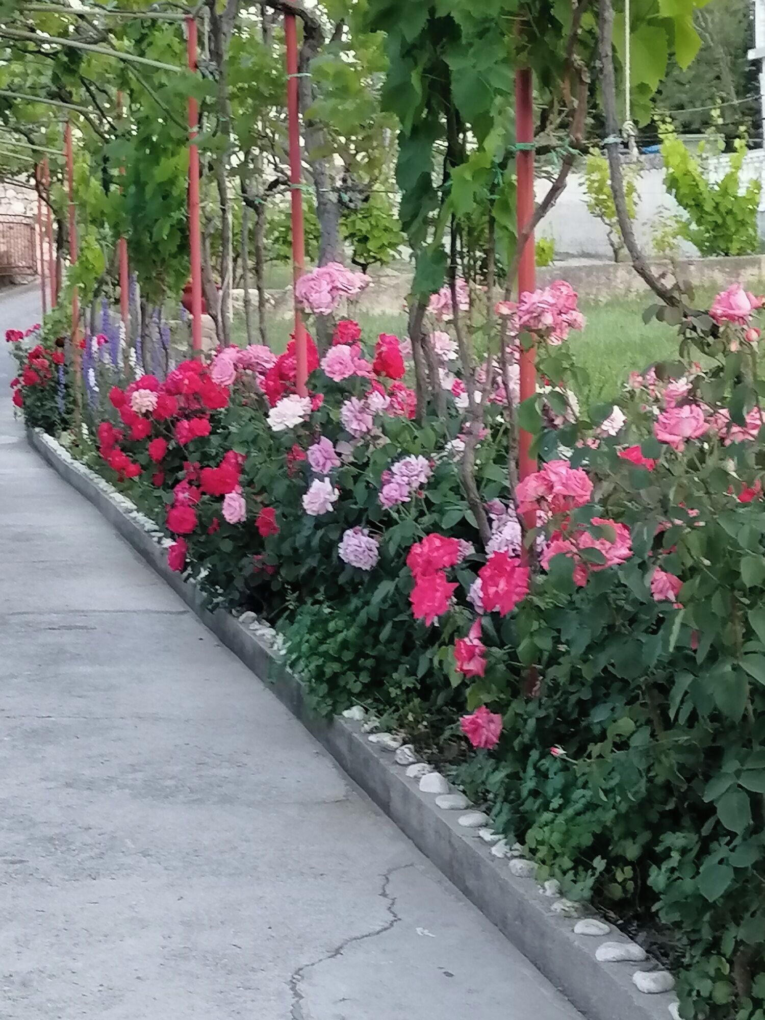 Overnattingsstedets uteområder