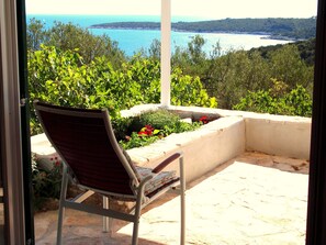 Property grounds - House Villa Korcula (Vela Luka)