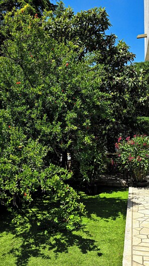 Property grounds - Apartments Seagreen Villas (Novi Vinodolski)