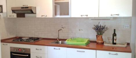 Apartment (A1) | Private kitchen