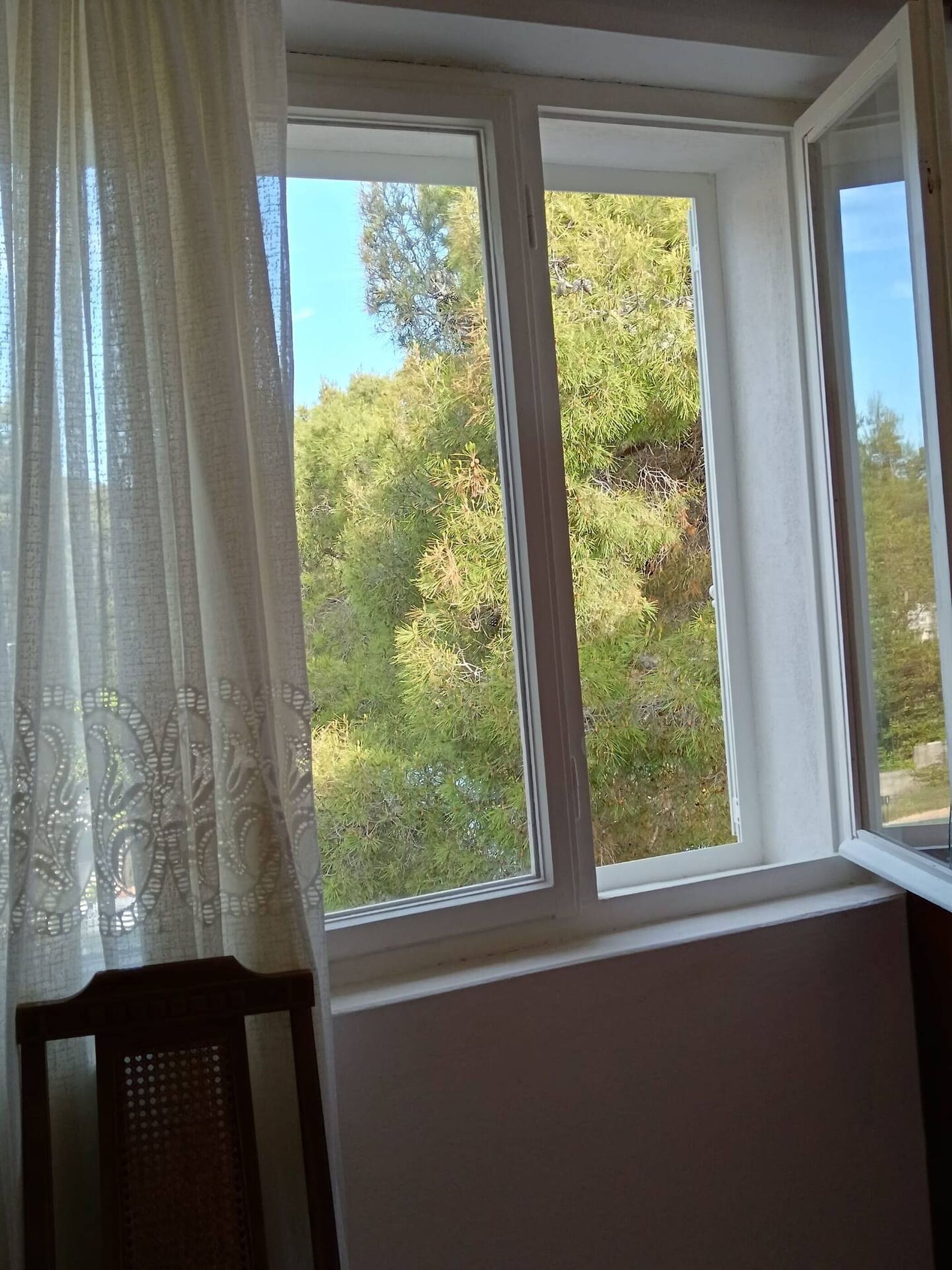 A room with a window overlooking a forested area.