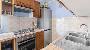 A compact kitchen with wooden cabinets, a stainless steel refrigerator, a gas stove, and a sink. - House Casa Jelena (Kastelir-Labinci)