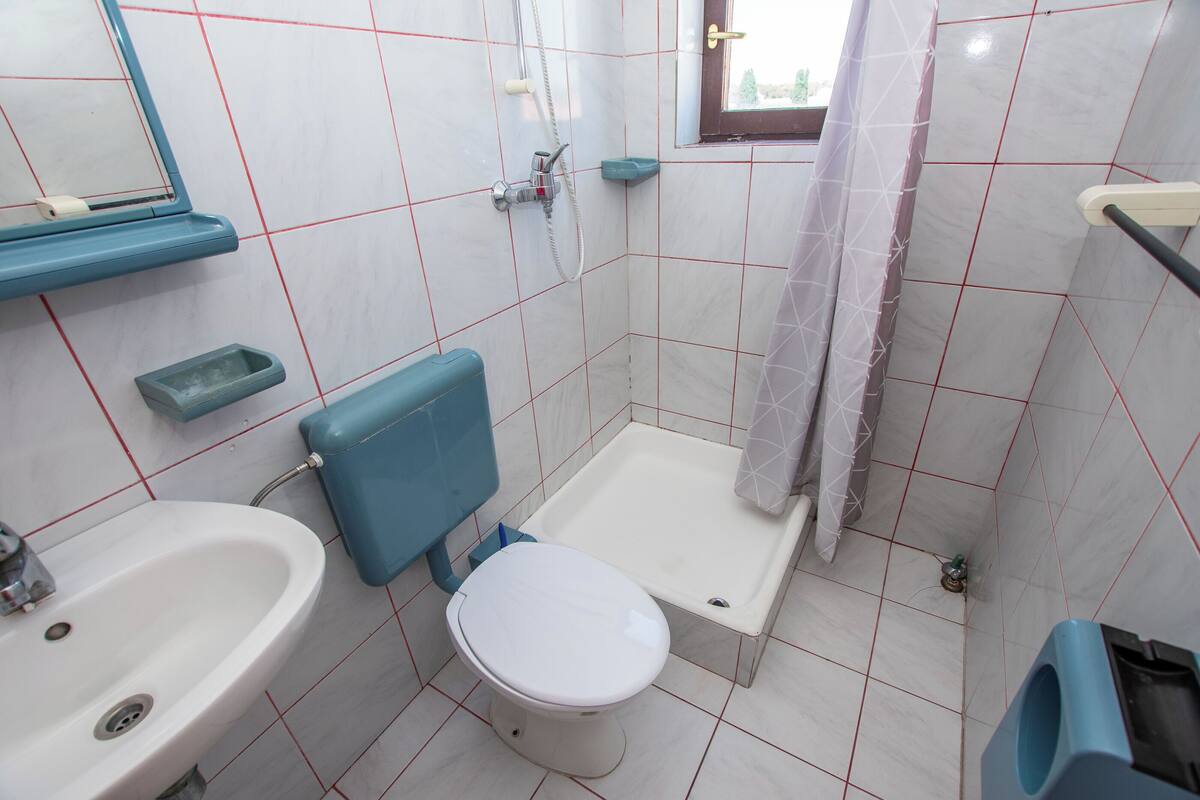 Une salle de bain avec un lavabo, des toilettes et une douche.