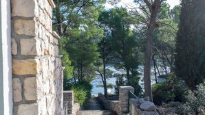 A stone staircase leading to a body of water, surrounded by trees and vegetation. - Apartments Jase (Milna)