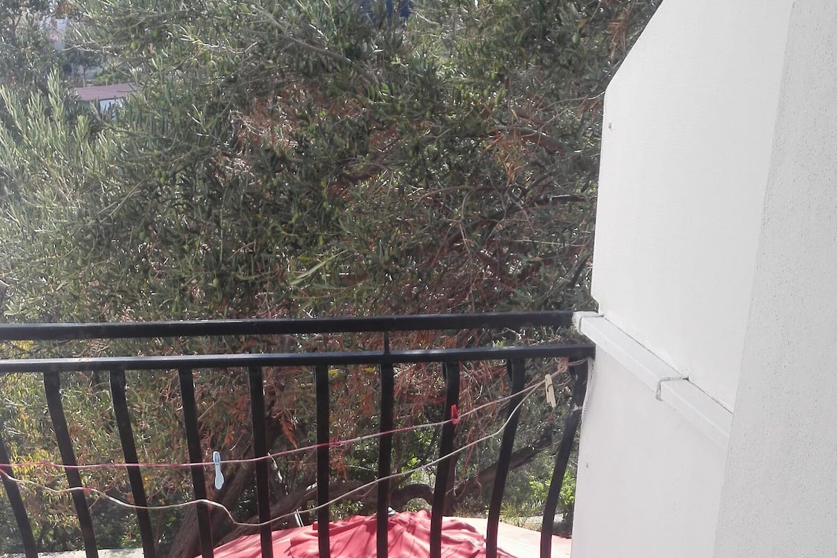 客房 (S2) | 陽台