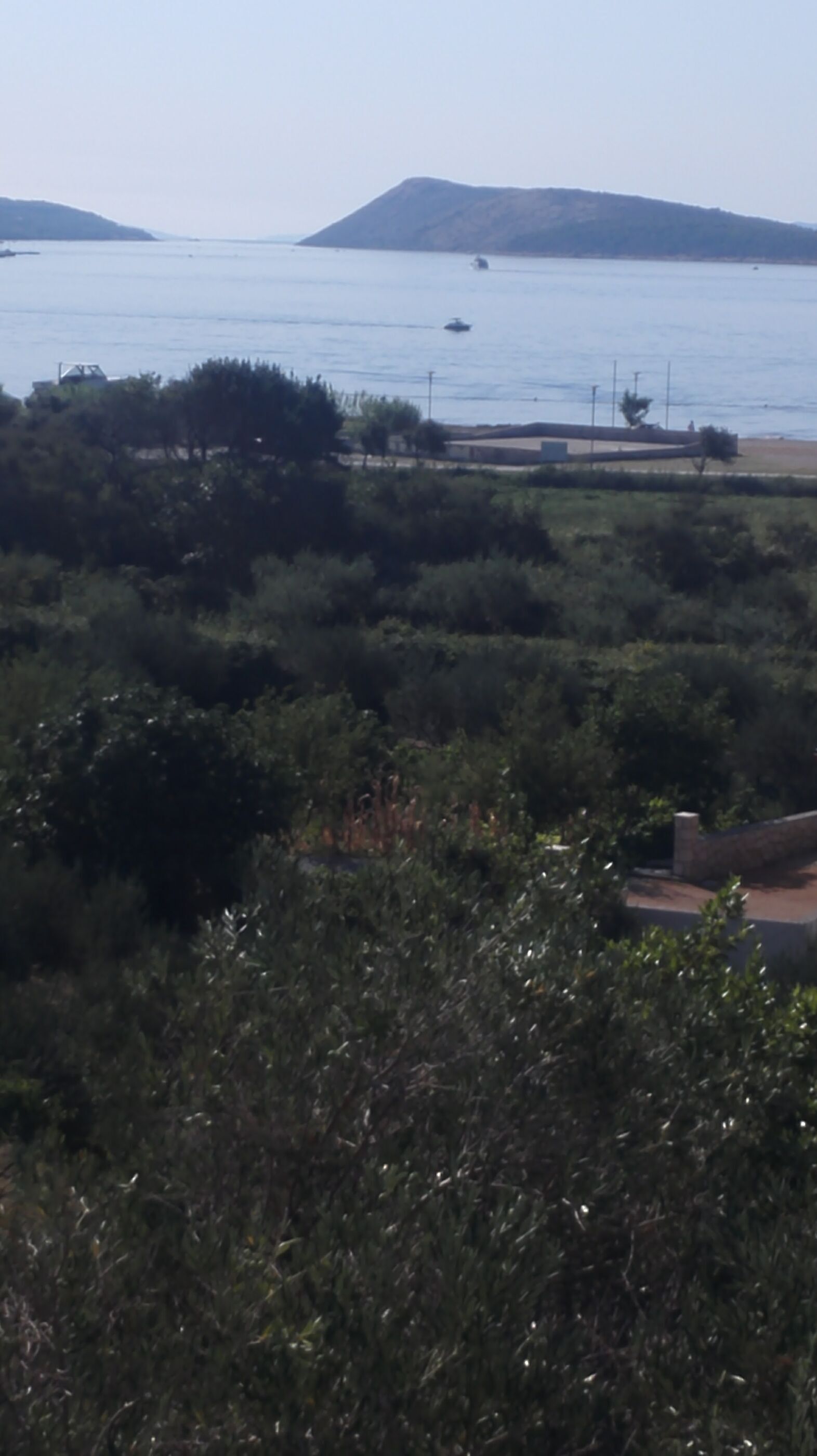 A coastal landscape with dense vegetation in the foreground and a view of the sea with boats in the distance.