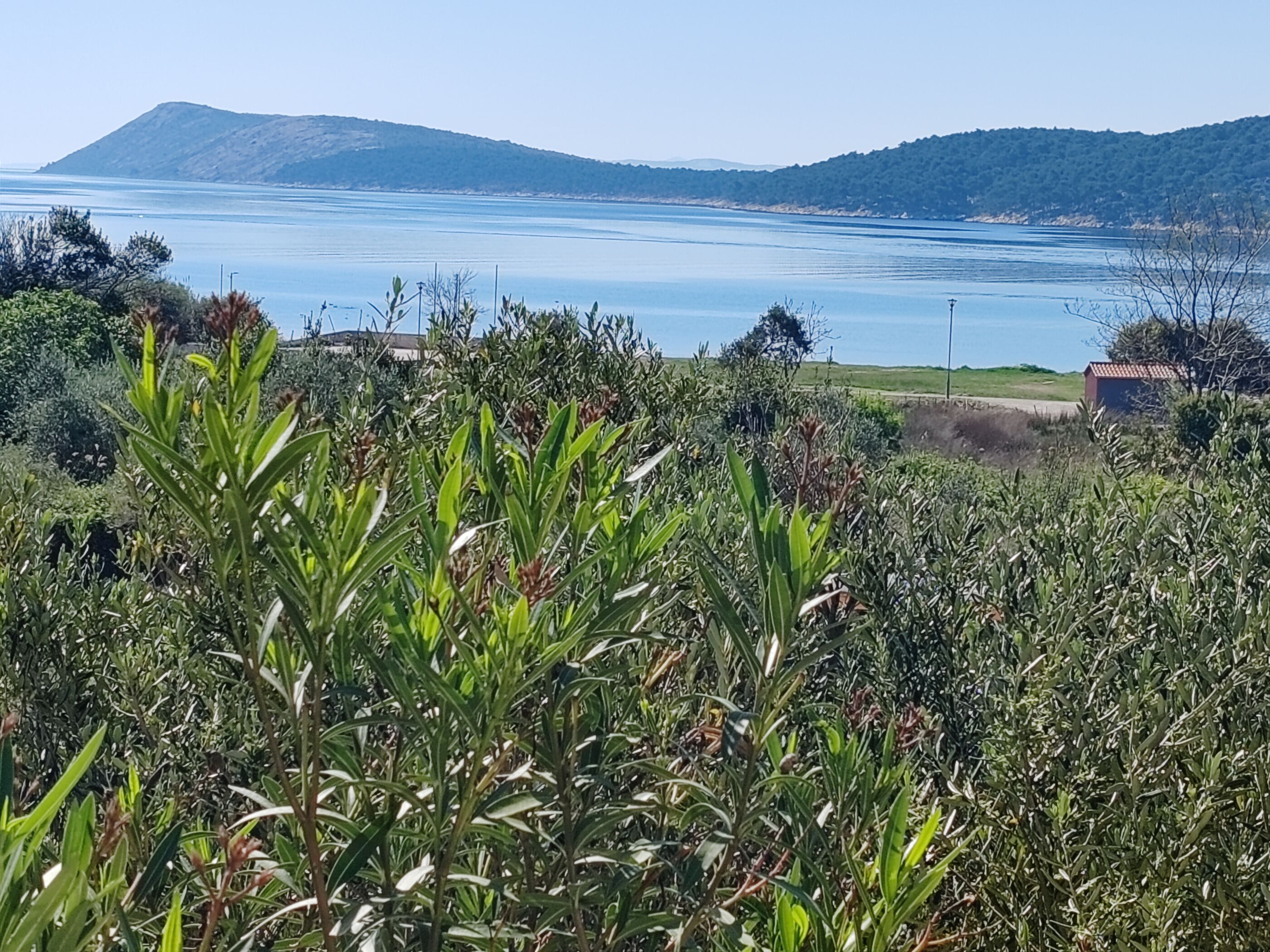 A coastal landscape with a view of the sea and distant hills.