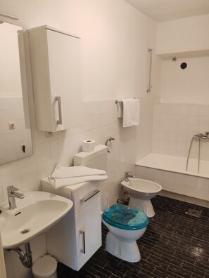 House | Bathroom | Shower, towels, toilet paper