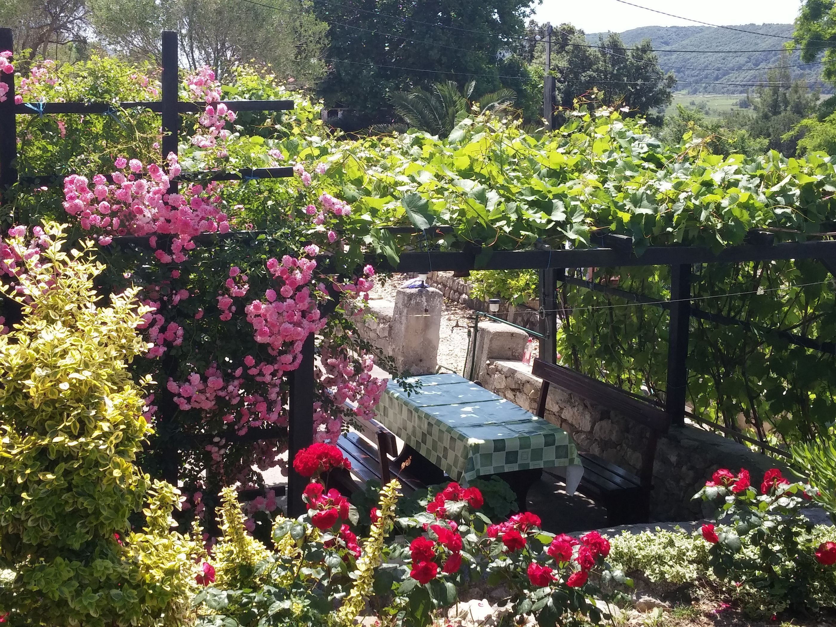 บ้านพัก | สนามรอบบริเวณ