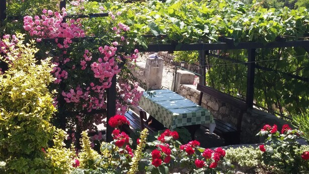 Een tuin met een tafel en stoelen, omringd door diverse planten en bloemen.
