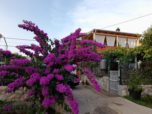 Diseño del edificio