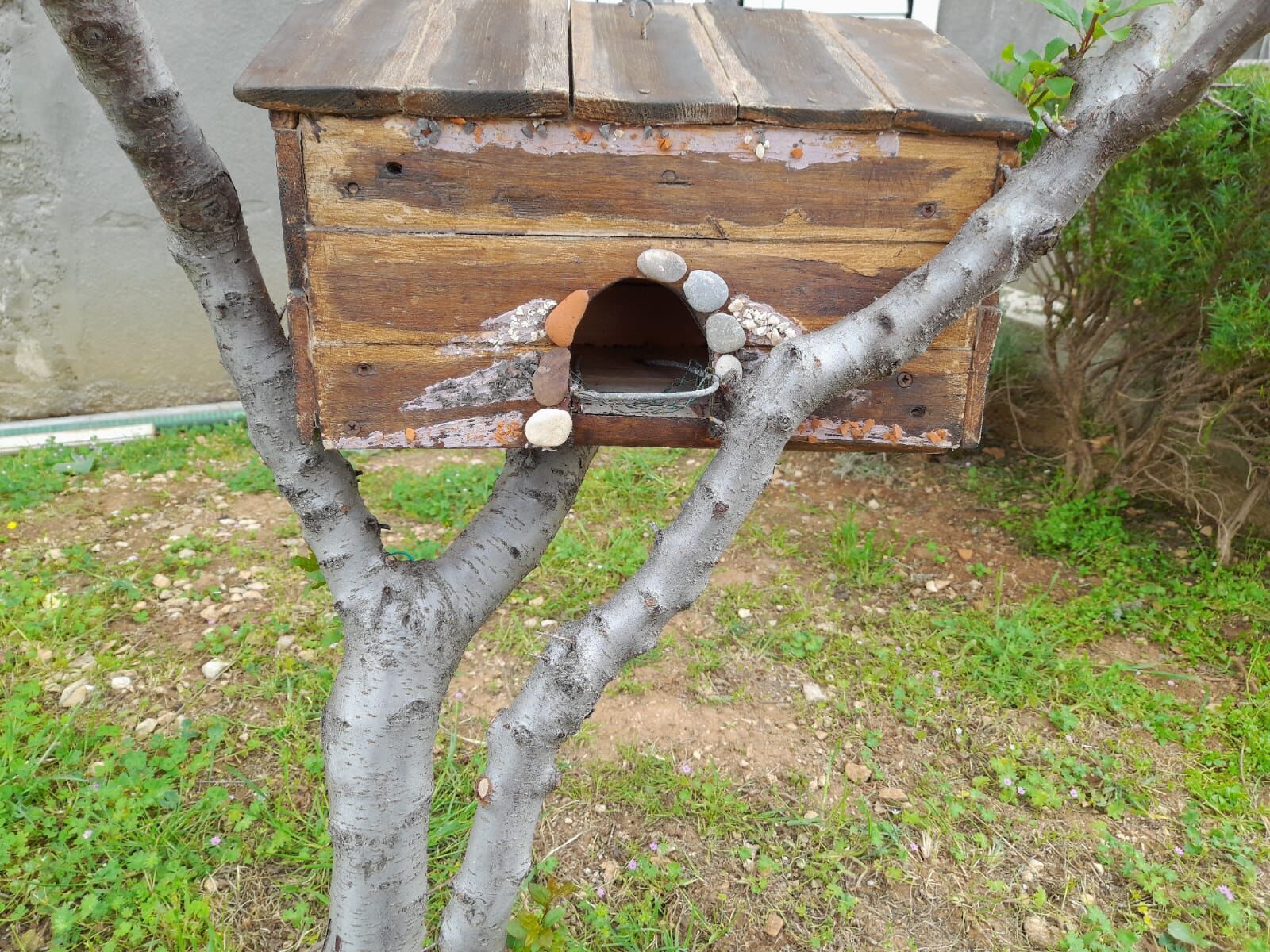 A wooden birdhouse attached to a tree branch.