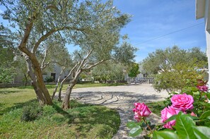 Un quartier résidentiel avec une rue bordée d’arbres, une allée pavée et des rosiers roses en pleine floraison.
