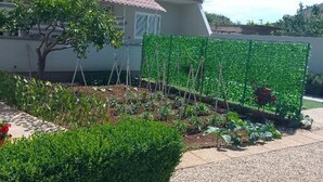 Una casa amb teules vermelles, un jardí ple de plantes diverses i una entrada de grava.