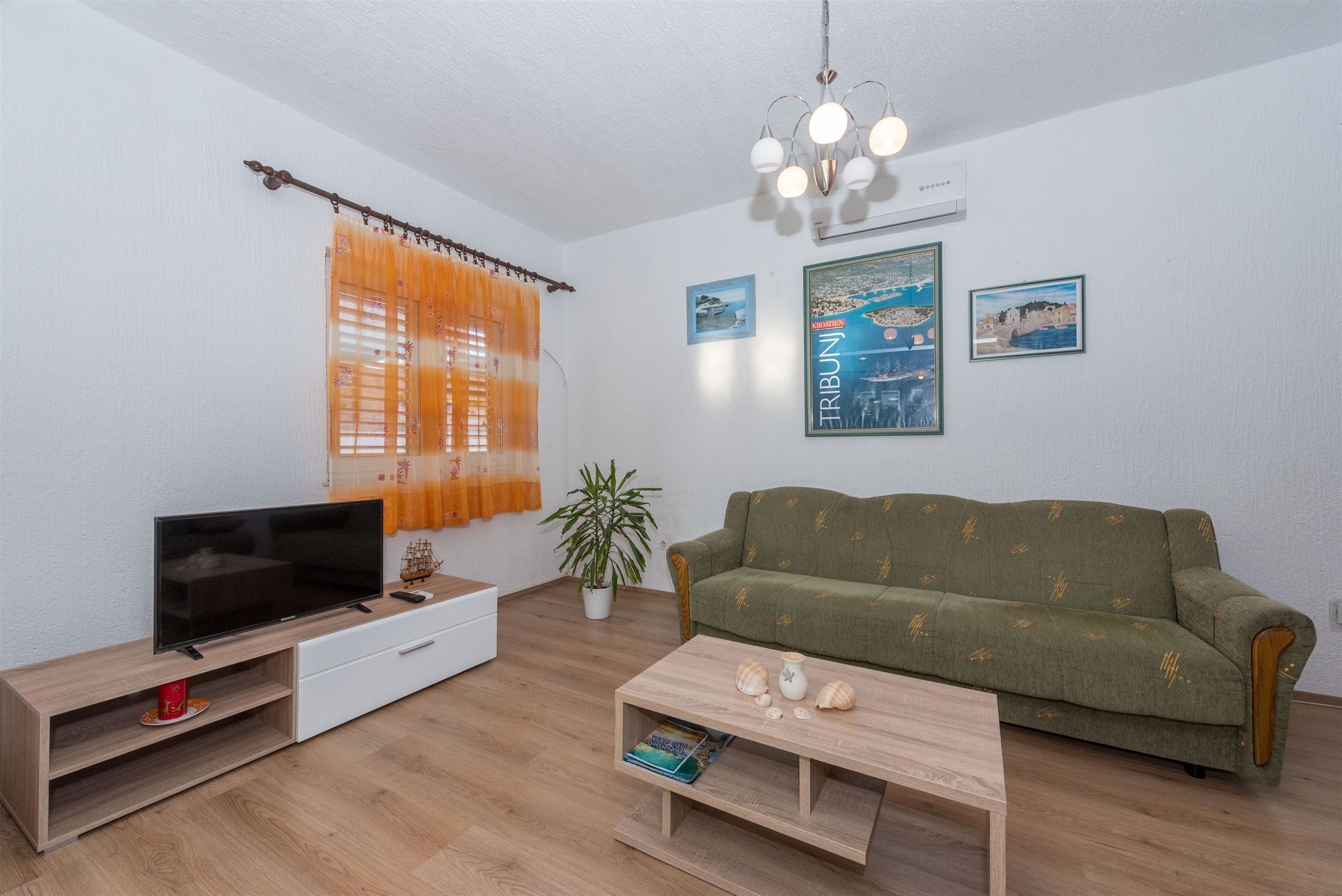 Ein Wohnzimmer mit Flachbildfernseher, einem grünen Sofa, einem Holztisch und einer Topfpflanze.