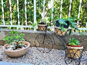 Courtyard - Apartment Ivana (Sibenik)
