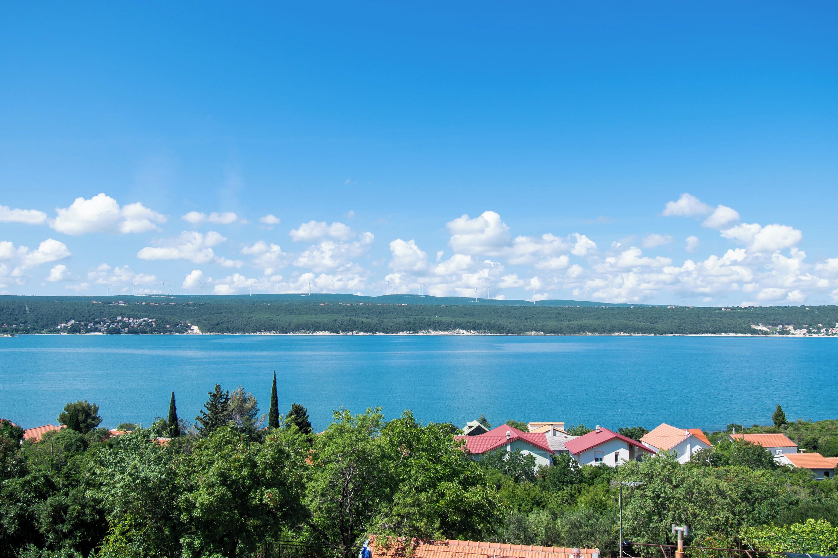 A coastal view with houses and trees, a clear sky, and a large body of water.