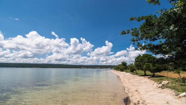 A beach with clear water, a sandy shore, and trees. - House Sea and River (Obrovac)