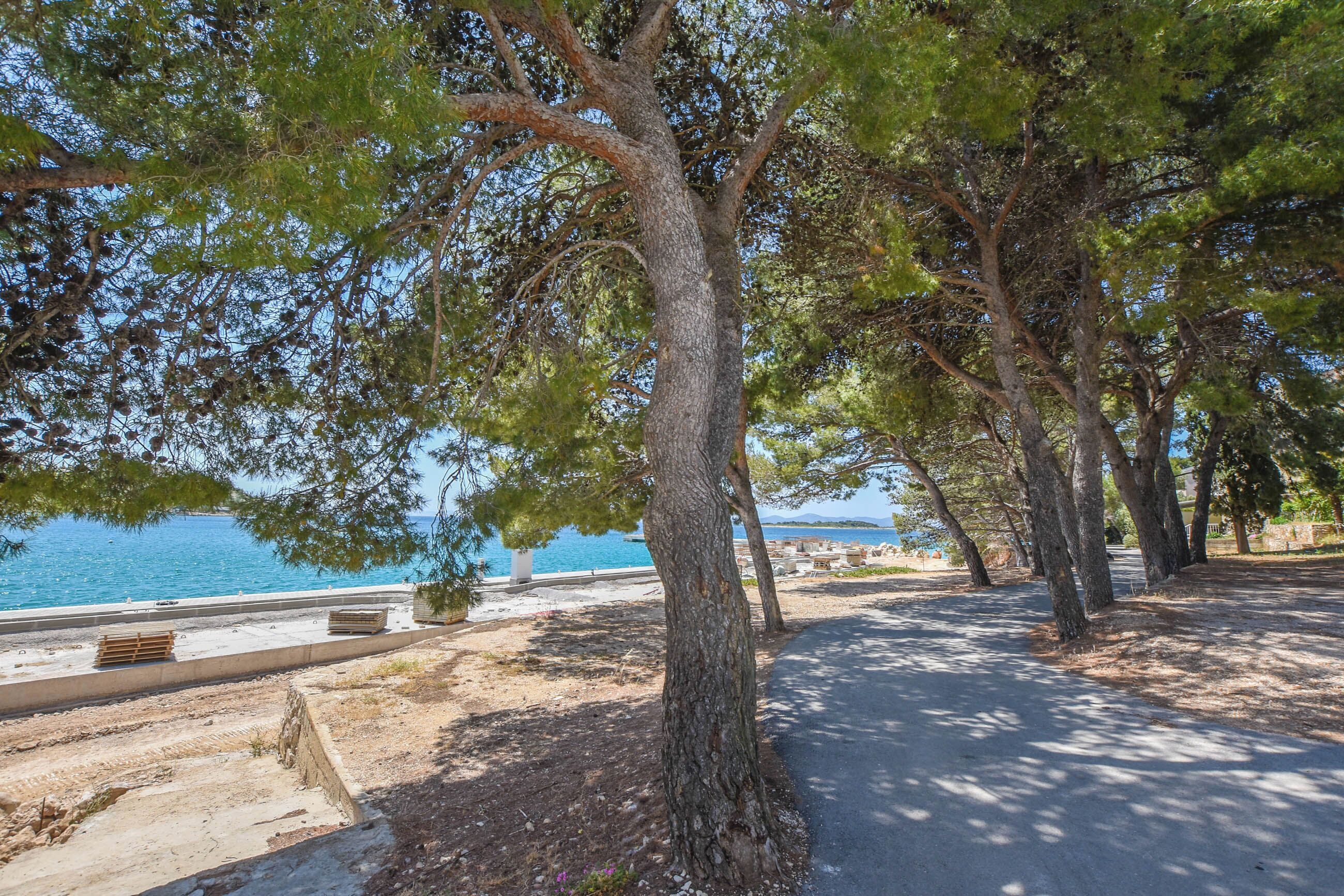 A paved pathway lined with trees, leading to a body of water.
