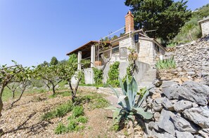 Building design - House Silvana (Postira)