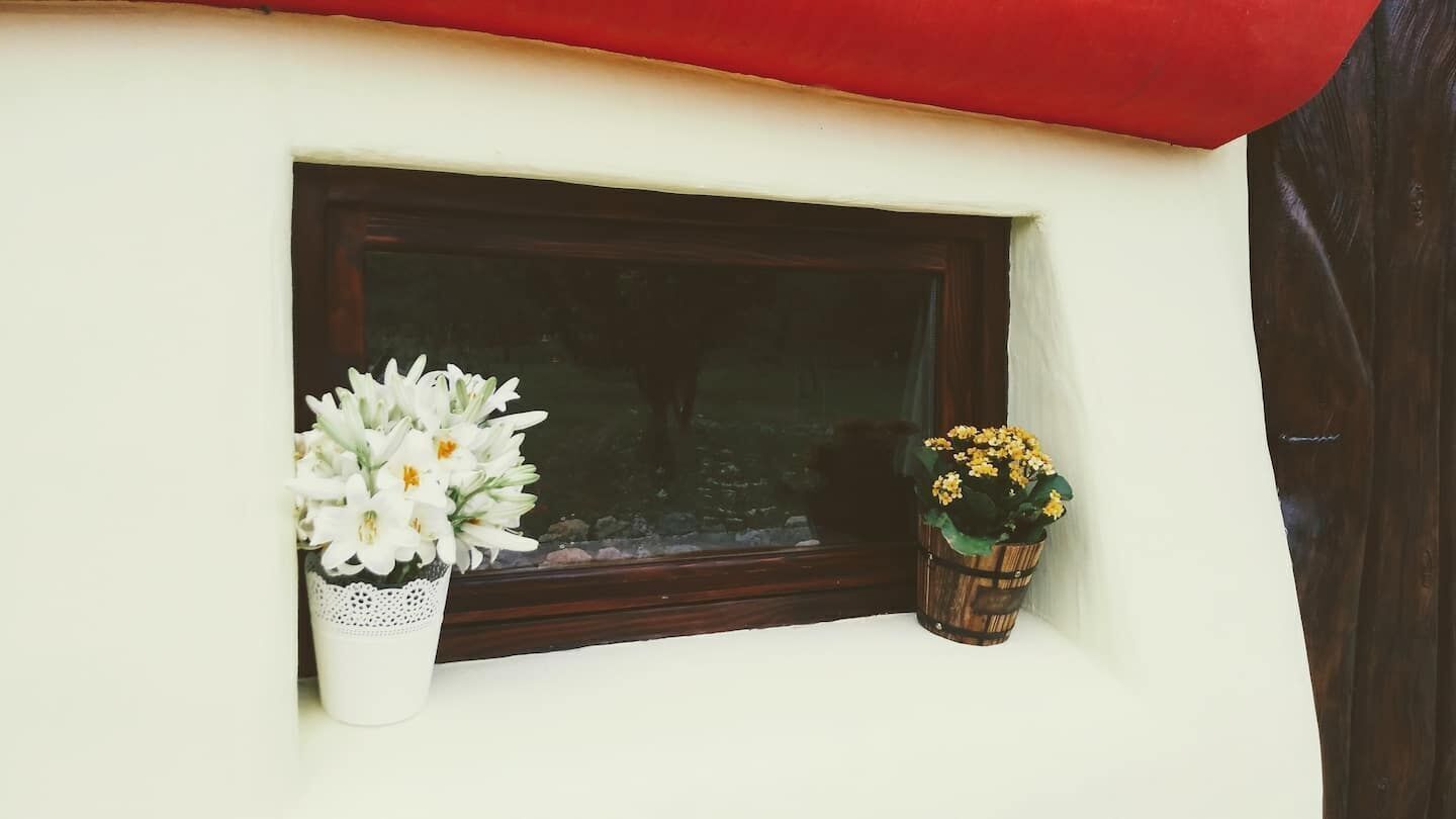 A window with a white wall and a wooden frame. There are two flower pots, one with white flowers and one with yellow flowers.