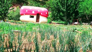 Ein pilzförmiges Haus mit einer Tür, umgeben von einem Garten mit grünen Pflanzen.