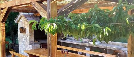 House | Terrace/patio