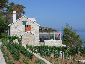 Bina tasarımı